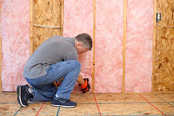 Best Spray Foam Insulation in Pioneer Village, KY