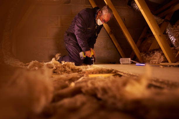 Best Insulation Maintenance and Repair in Pioneer Village, KY